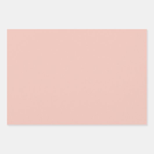 Coral Gingham Inpakpapier Vel (Voorkant 3)