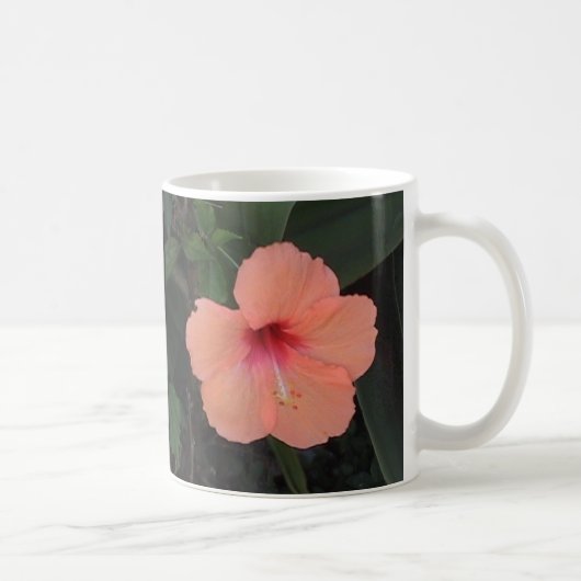 Coral Hibiscus Mok (Rechts)