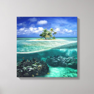 Coral Island Canvas Afdruk