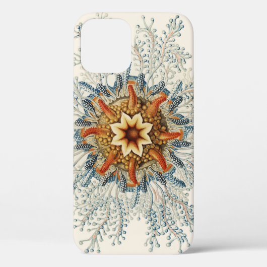 Coral Mandala Pattern Case-Mate iPhone Case (Achterkant)