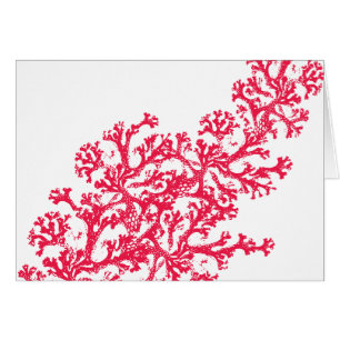 Coral Motif