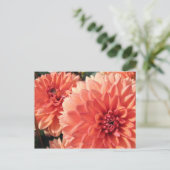 Coral Oranje Dahlia Briefkaart (Staand voorkant)