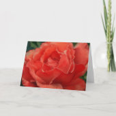 Coral Oranje Red Rose Art Note Kaart (Voorkant)