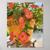 Coral Petunias in a Pot Poster (Voorkant)