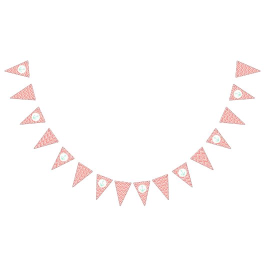 Coral Pink en White Chevron met Mint Nautical Vlaggetjes (Alle)