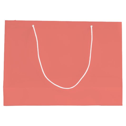 Coral Pink Large Gift Bag Groot Cadeauzakje (Achterkant)
