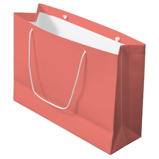 Coral Pink Large Gift Bag Groot Cadeauzakje (Voorkant Gekanteld)