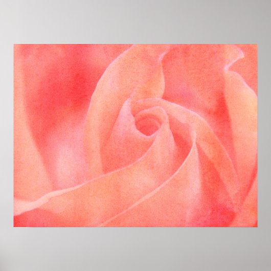  Coral Pink Rose Floral Art Fotografie Poster (Voorkant)