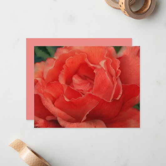 Coral Pink Rose Flower Art Note Card Set Notitiekaartje (Voorkant / Achterkant in situ)