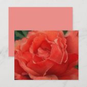 Coral Pink Rose Flower Art Note Card Set Notitiekaartje (Voorkant / Achterkant)