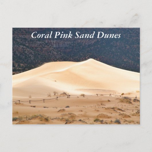 Coral Pink Sand Dunes Briefkaart (Voorkant)