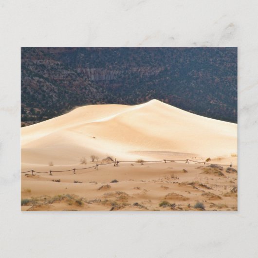 Coral Pink Sand Dunes Briefkaart (Voorkant)