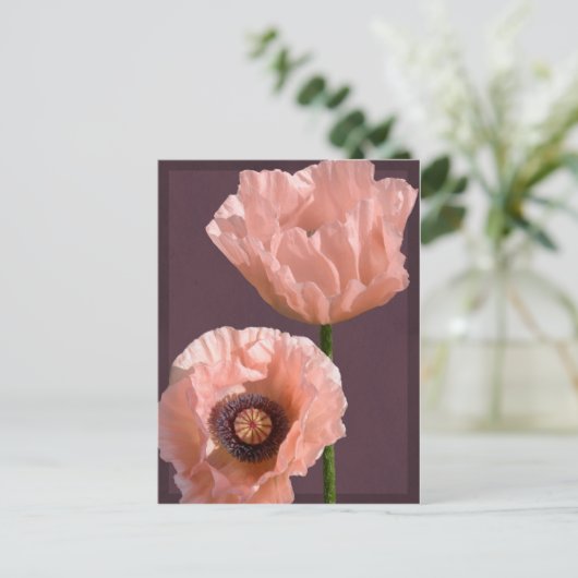 Coral Poppies Briefkaart (Staand voorkant)
