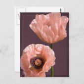 Coral Poppies Briefkaart (Voorkant / Achterkant)
