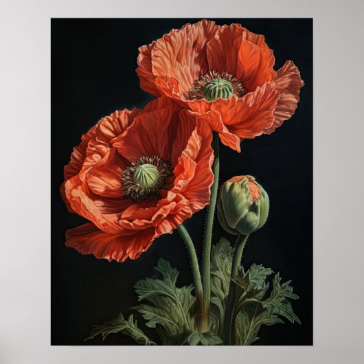 Coral Poppy Flowers Art Print Poster (Voorkant)