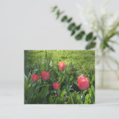 Coral Red Sunny Tulips DIY Briefkaart (Staand voorkant)