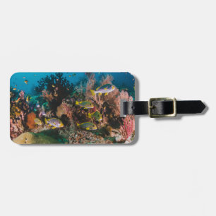 Coral Reef aangepast bagagelabel