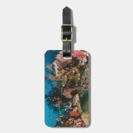 Coral Reef aangepast bagagelabel (Voorkant verticaal)