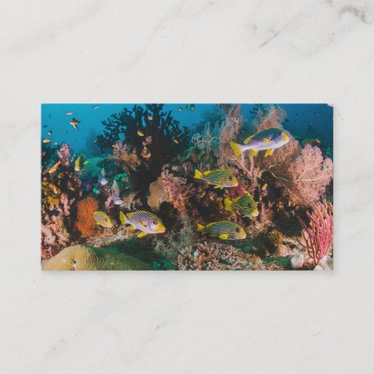 Coral Reef aangepaste visitekaartjes (Voorkant)