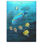 Coral Reef clipboard Klembord (Achterkant)