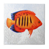 Coral Reef Flame Angelfish Tile Tegeltje (Voorkant)