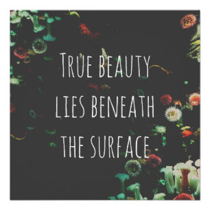 Coral Reef Inspirerend Quote Perfect Poster