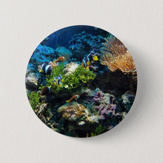 Coral Reef-knoppen Ronde Button 5,7 Cm (Voorkant)