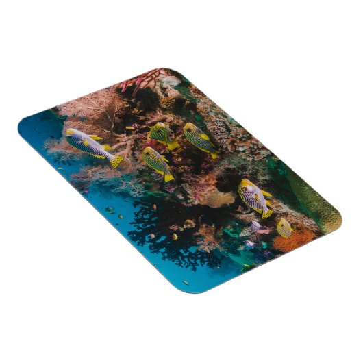 Coral Reef magnet Magneet (Rechterzijde)