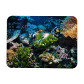 Coral Reef magnet Magneet (Horizontaal)