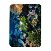 Coral Reef magnet Magneet (Verticaal)