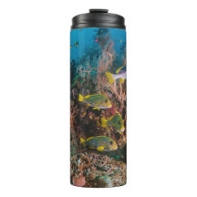 Coral Reef tumbler