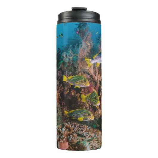 Coral Reef tumbler Thermosbeker (Voorkant)