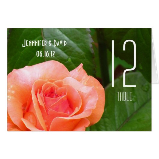 Coral Roos bruiloft (Voorkant Horizontaal)