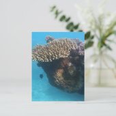 Coral Seascape Briefkaart (Staand voorkant)