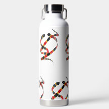 Coral Snakes Wildlife Art