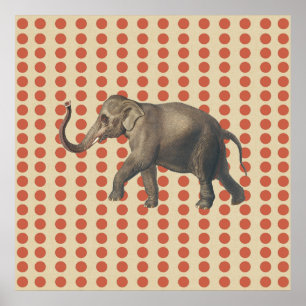 Coral Spice Moods Stippen met olifant Poster