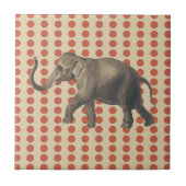 Coral Spice Moods Stippen met olifant Tegeltje (Voorkant)