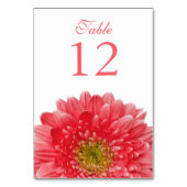 Coral White Gerbera Daisy Wedding Kaart (Voorkant)
