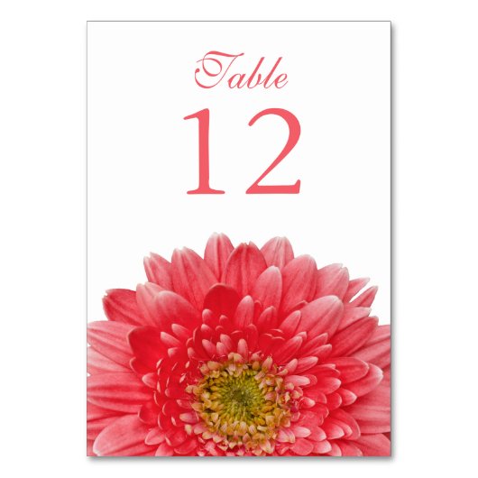 Coral White Gerbera Daisy Wedding Kaart (Voorkant)