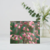 Coralbell Bloemen Briefkaart (Staand voorkant)