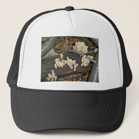 Corale paddenstoel Coördinerende items Trucker Pet (Voorkant)