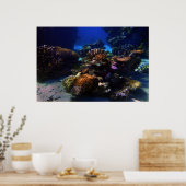 CoralGarden Poster (Keuken)