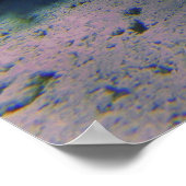 CoralGarden Poster (Hoek)