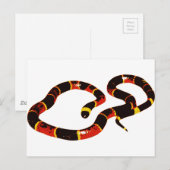 Coralillo Snake Briefkaart (Voorkant / Achterkant)