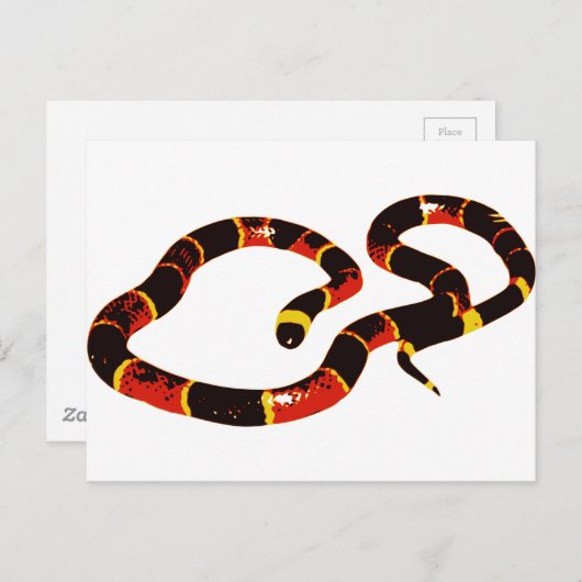 Coralillo Snake Briefkaart (Voorkant / Achterkant)