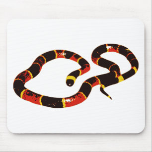 Coralillo Snake Muismat