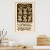 Coraline Corsets AD vanaf 1890 Poster (Keuken)