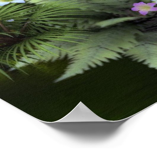 Corals Garden Poster (Hoek)