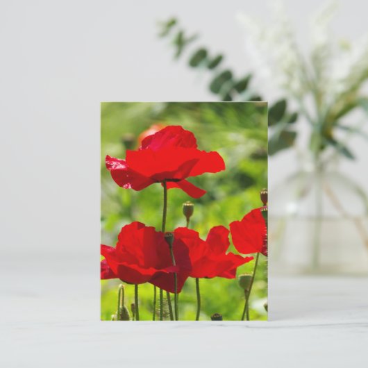 corb papaver briefkaart (Staand voorkant)