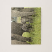 Corbett National Park, Uttaranchal, India. Legpuzzel (Verticaal)